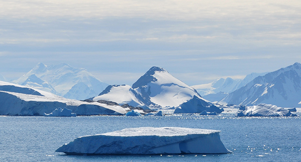 Scientists drilling through Antarctica find life in one of the world’s most extreme ecosystems
