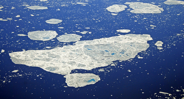 Loss of Arctic sea ice spurs the greening of the Arctic