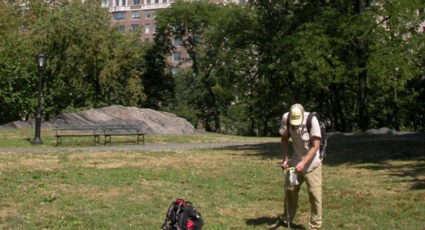 Central Park soil home to 167,000 species of microbes, many of which are unknown