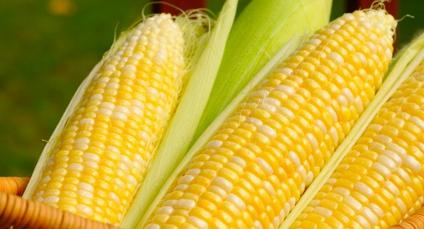 GMO labeling bill passes U.S. house