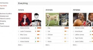 Google 'Top Charts' reveal hot search topics
