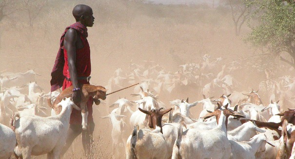 New study completely changes scientists’ ideas about African herders
