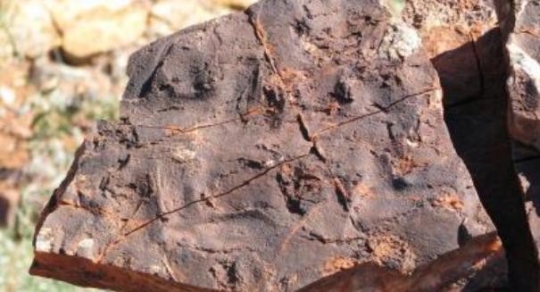 3.5 billion-year-old bacterial ecosystems discovered in Australia