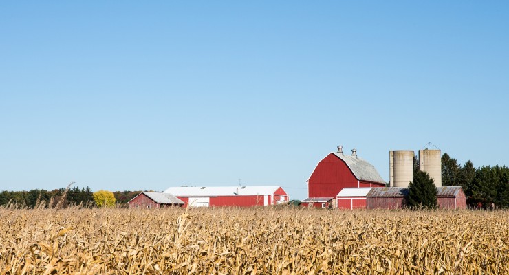 Family Farm Scene In The Fall
