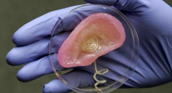 Researchers use 3-D printer to create bionic ear