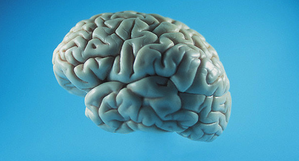 http://natmonitor.com/news/wp-content/uploads/brain.jpg