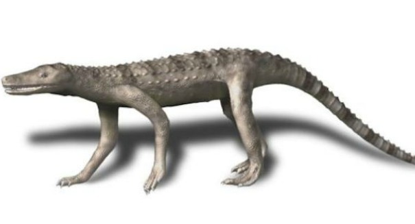 Huge 9-foot ‘butcher croc’ walked on two legs and ruled 230 million years ago