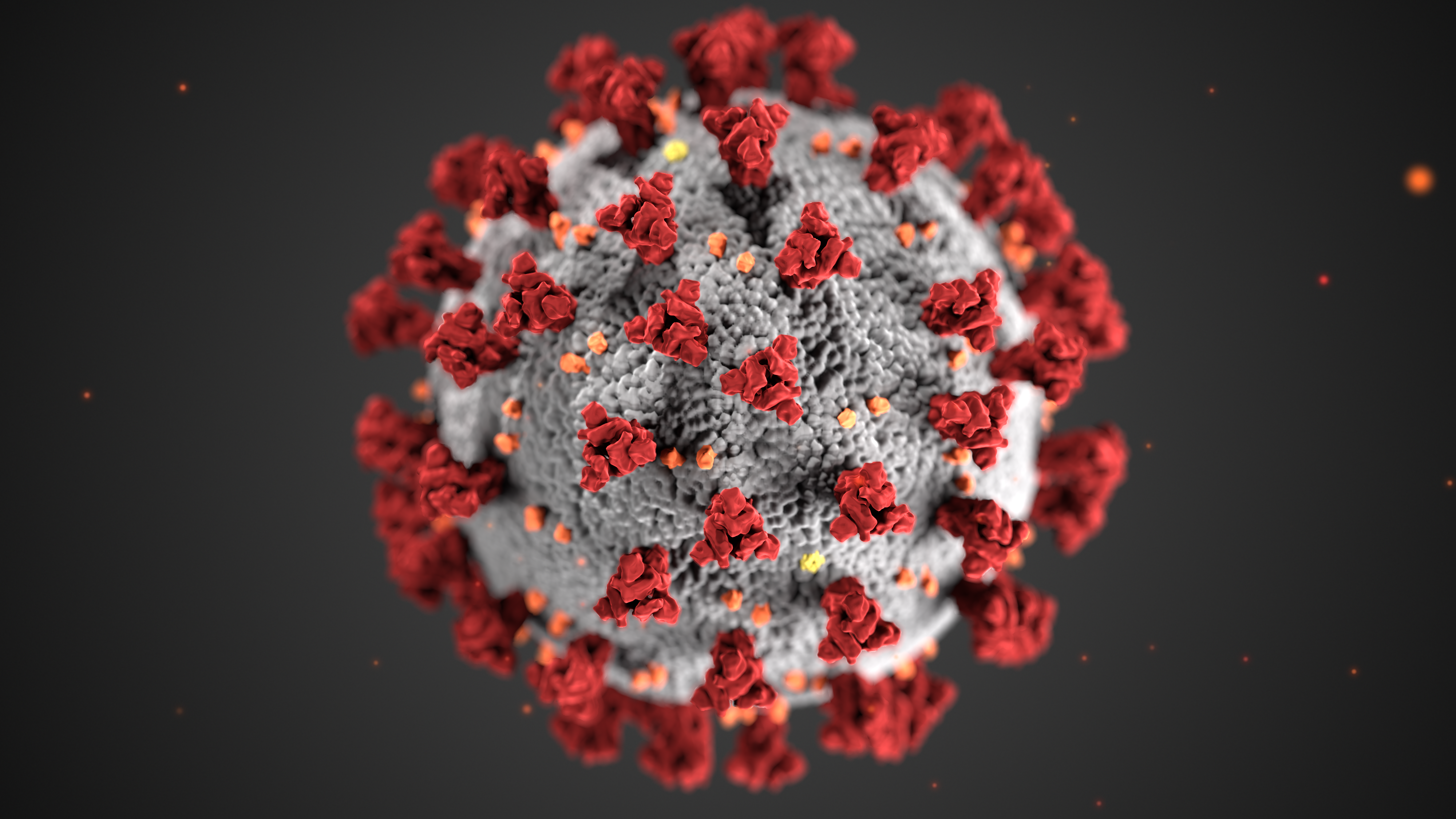 The days of Coronavirus panic should be numbered