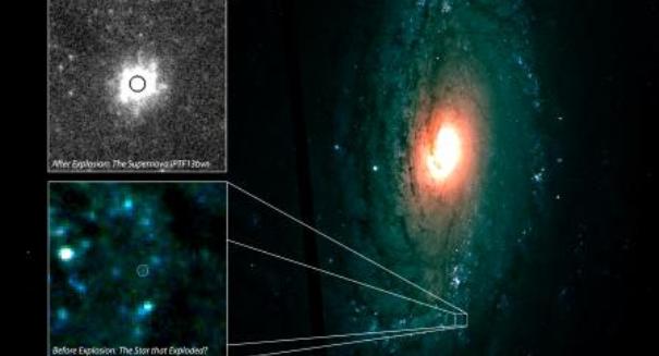 Sky survey reveals details of spectacular cosmic explosions