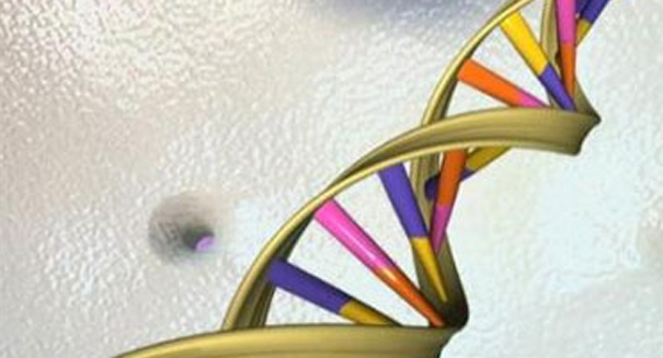 Uproar in scientific community as Chinese scientists genetically modify a human embryo