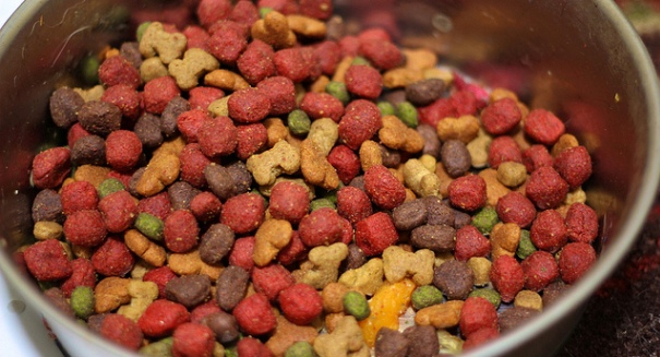FDA to regulate animal food for the first time