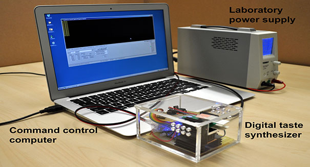 New technology allows you to taste food over the internet