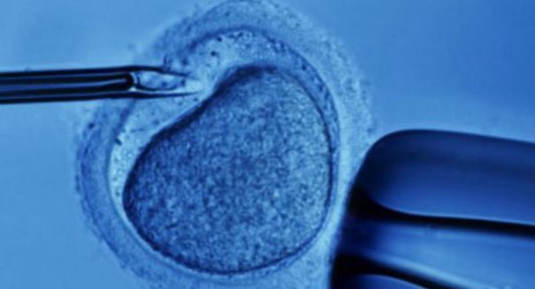 Bad news for infertile women on donor eggs