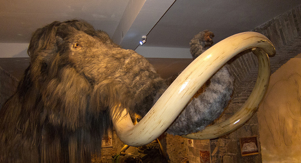 Scientists are really close to cloning a mammoth