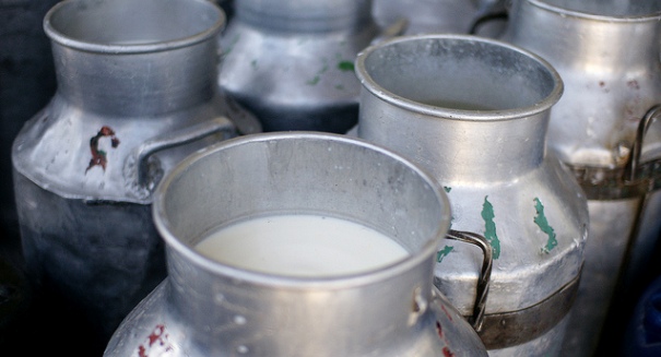 Doctors advise pregnant women and children not to consume raw milk products