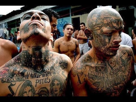 Trump Didn’t Dehumanize MS-13 Gang Members, They Did It to Themselves