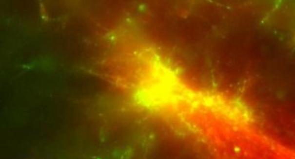 Researchers develop self-assembling nanotrain networks