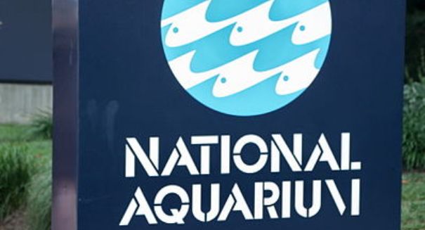 National Aquarium set to close its Washington branch; 1500 animals to be moved