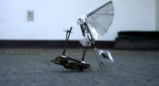 Watch this weird video of a robotic cockroach that launches flying robots [VIDEO]