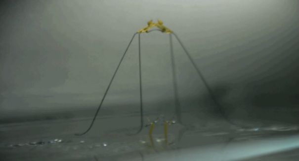 Breakthrough: Scientists create water-walking robotic insect