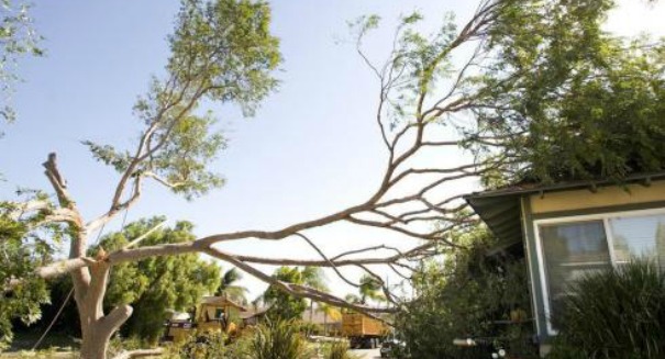 Fierce storms expected to hammer California’s Bay Area today with rain, wind