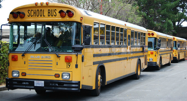 U.S. 8th graders flunk middle-school civics: report