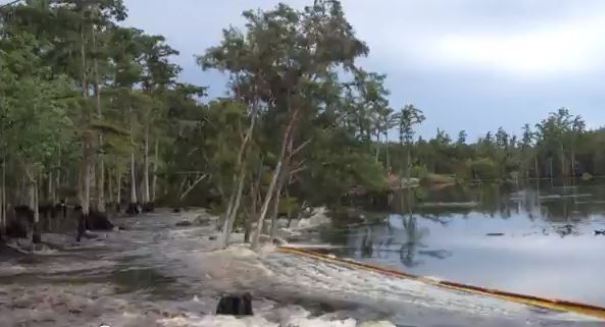 Watch Louisiana sinkhole swallow 40ft high trees in seconds [VIDEO]