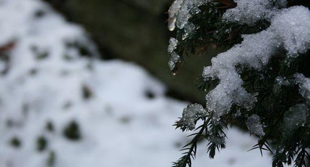 Wintry storms stretch from Ohio Valley to New England, forces school closures