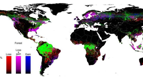 Google Earth helps produce SHOCKING high-resolution map of forest cover change