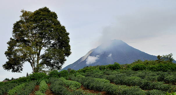 Mount Sinabung explodes, 1K forced to abandon homes