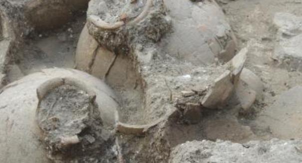 Ancient wine cellar discovered in Israel; may have contained 3,000 bottles