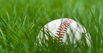 Baseball In Grass