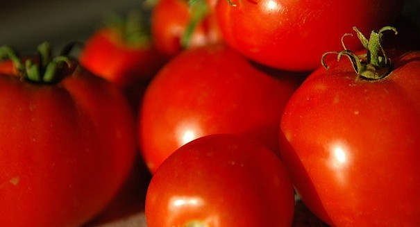 tomatoes-2